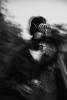 zed